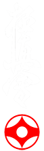 Kyokushin Karate